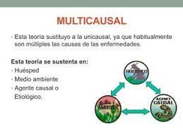 TEORIA DE LA MULTICAUSALIDAD