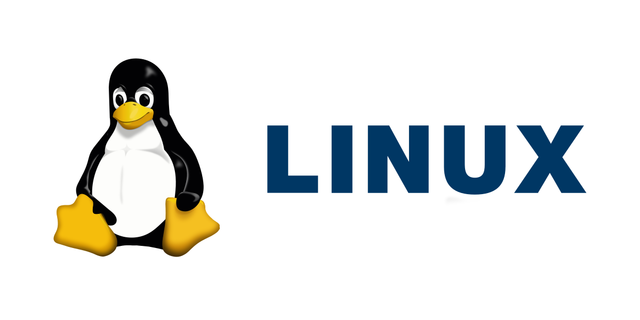 VECTOR LINUX