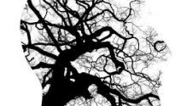 Timeline: Origen y evolución de la filosofía.