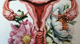 Timeline: Historia de la Obstetricia
