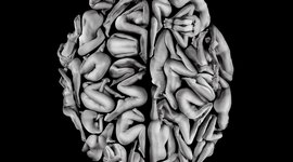 Timeline: HISTORIA DE LA PSICOLOGÍA