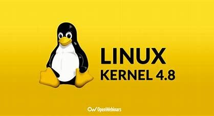 Linux Kernel 4.8