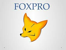 Visual FoxPro