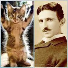 Un curioso incidente.