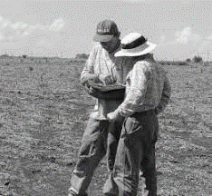 La Llei de contractes de conreu declarada inconstitucional