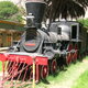 Locomotora