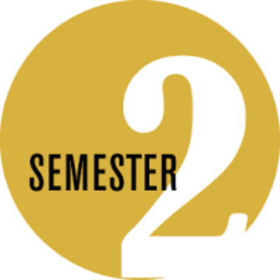 Timeline: Semester 2 Final