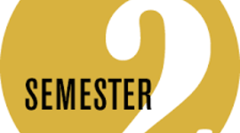 Timeline: Semester 2 Final