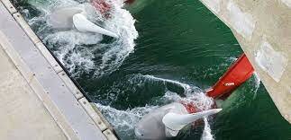 ¿Quien descubrio la energia mareomotriz