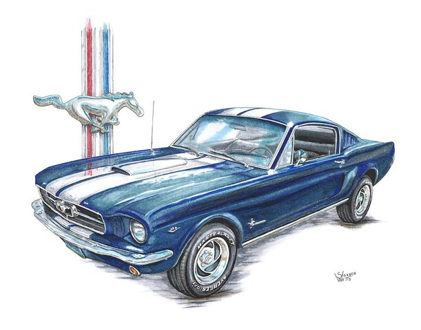 1966 mustangs