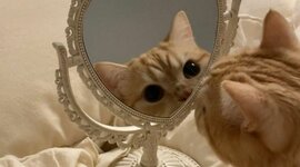 Timeline: Linha do Tempo do 7° ano