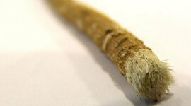 Timeline: Cepillo de dientes