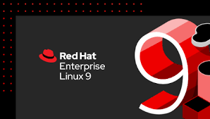 RED HAT LINUX