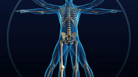 Timeline: historia del deporte y su evolución a través del tiempo