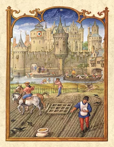 Feudalism and Common Law (2)