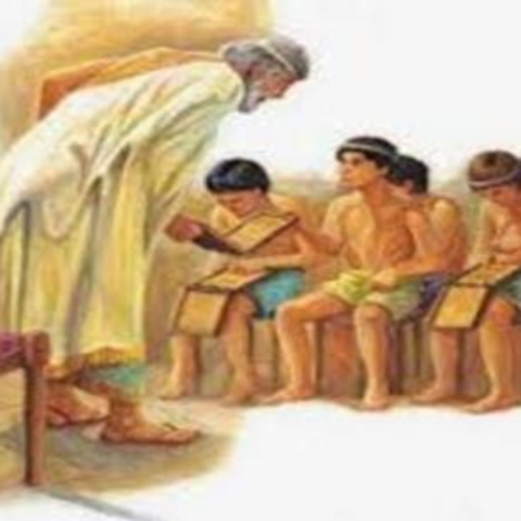 Organización de los sistemas (Pedagógico Griego)