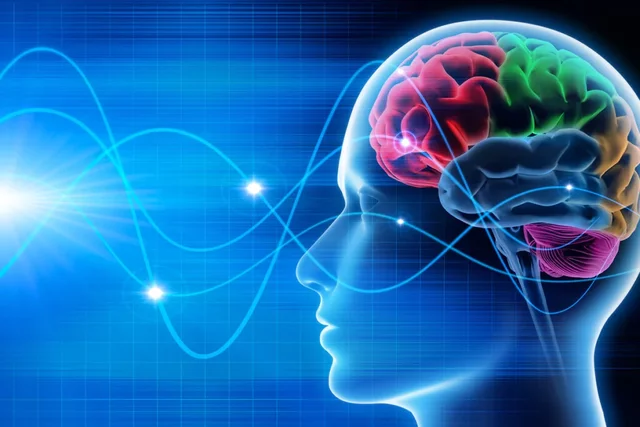 Siglo XIX- Creación de la Psicofísica