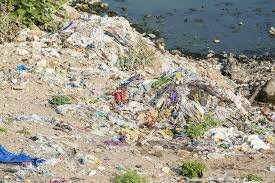 5 meses sin petroleo