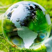 40 años sin petroleo