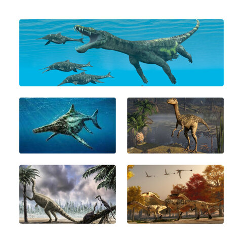 Período: Triásico desde hace 245 Ma hasta hace 208 Ma