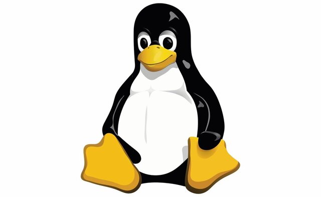 Linux