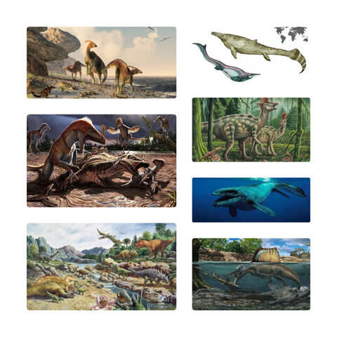 Período: Cretácico desde hace 145 Ma hasta hace 65 Ma