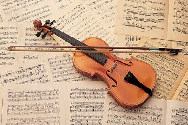 violin