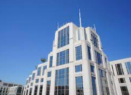 American Psychological Association