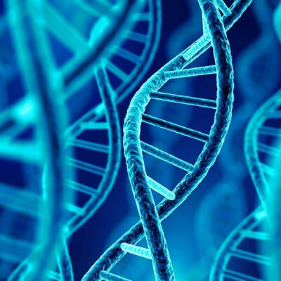 Timeline: Desarrollo de la biología