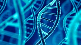 Timeline: Desarrollo de la biología