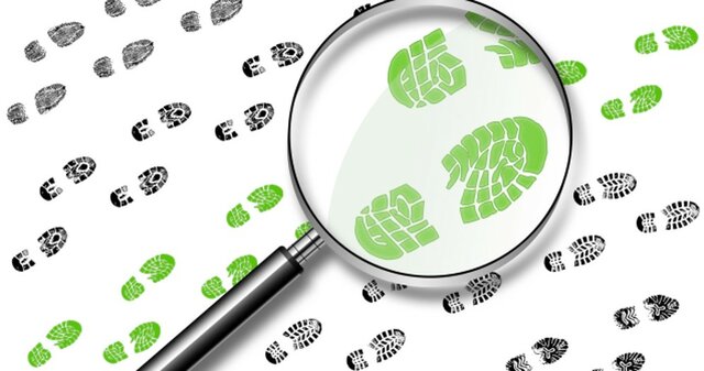 Etapa de Investigación Inicial.