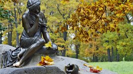 Timeline: Царскосельская статуя