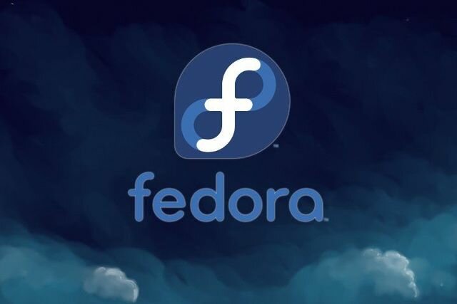 SOMBRERO DE FIELTRO (FEDORA)