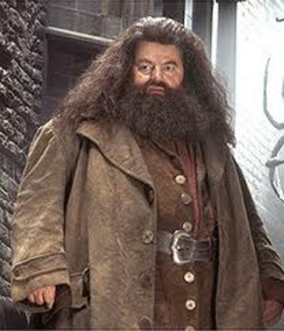 3	Rubius Hagrid comes in, and personally delivers an admission letter  from Hogwarts to Harry. Harry Accepts.