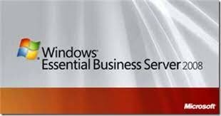 Windows essential business server