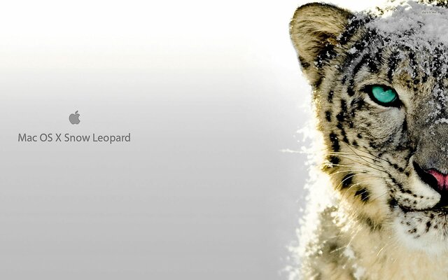 Mac OS X 10.6 snow leopard