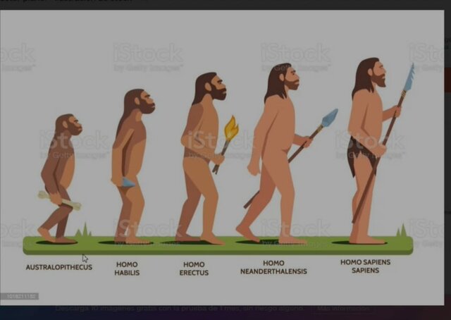 Origen de la Gramática.