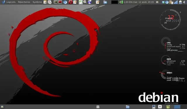 DEBIAN