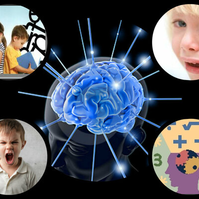 Timeline: Neurociencias de la Conducta