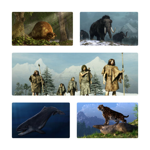 Era Cenozoica hace 65 Ma hasta nuestros dias