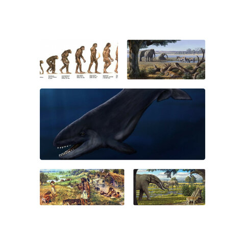 Período: Cuaternario hace 1,8 Ma hasta nuestros dias