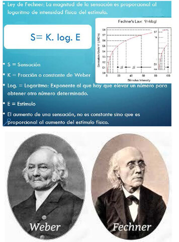 Ley de Weber-Fechner psicofísica