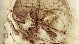 Timeline: Desde los orígenes al presente: las neurociencias de la conducta, un viaje  que no se detiene.