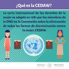 CEDAW, aprueba la recomendacion General numero 127