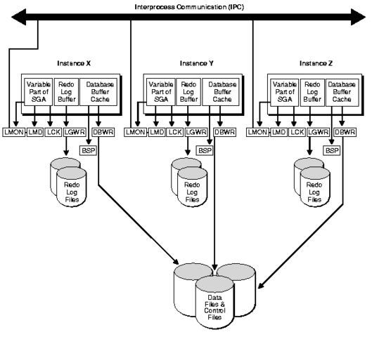 Oracle Parallel Server