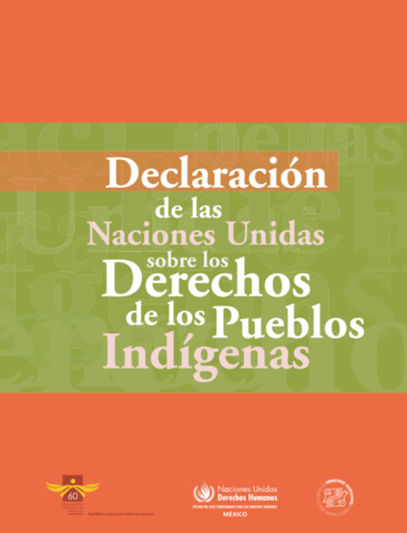 Declaración de las Naciones Unidas sobre los derechos de los pueblos indígenas