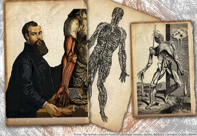 Vesalio