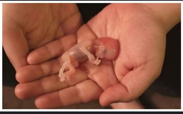 Aristides Mestre Hevia