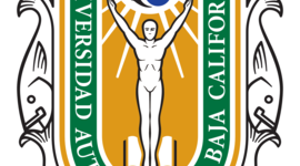 Timeline: Linea del tiempo: COMPETITIVIDAD