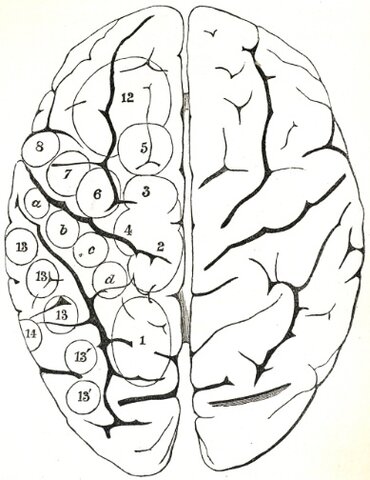 David Ferrier y Eduard Hitzig